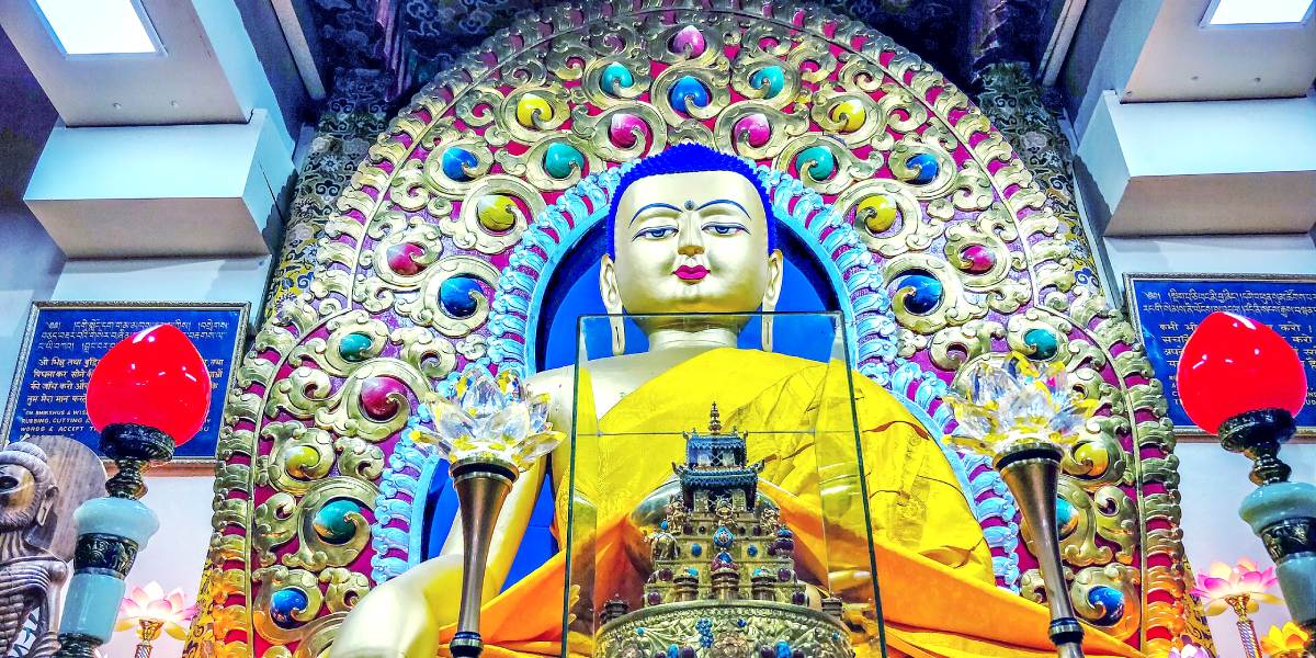 Chandigarh to Dharamshala Delight