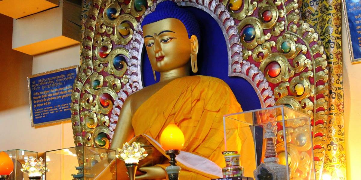 Chandigarh to Shimla, Manali & Dharamshala 8-Day Tour