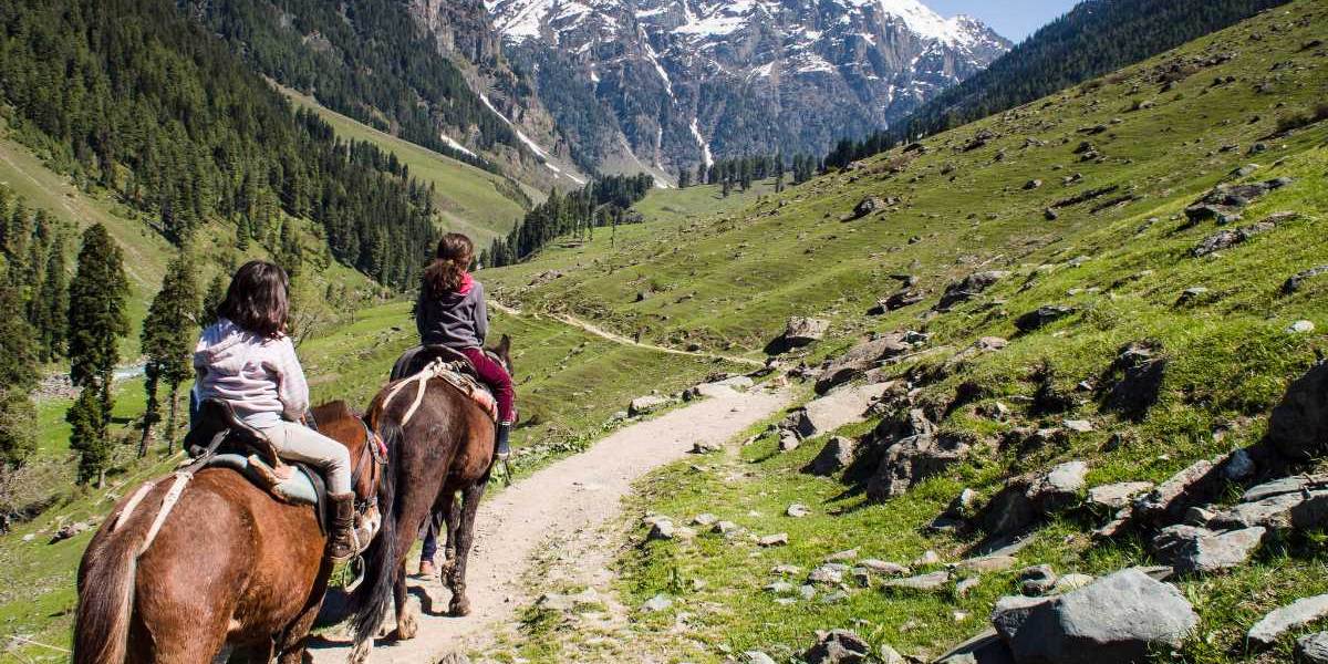 Jammu to Kashmir & Chandigarh Tour – 7 Days