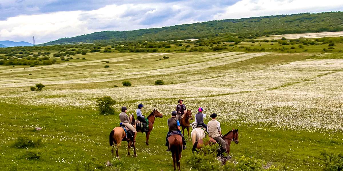 Chandigarh to Dalhousie 4-Day Getaway