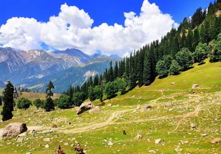 Jammu to Kashmir & Chandigarh Tour – 7 Days